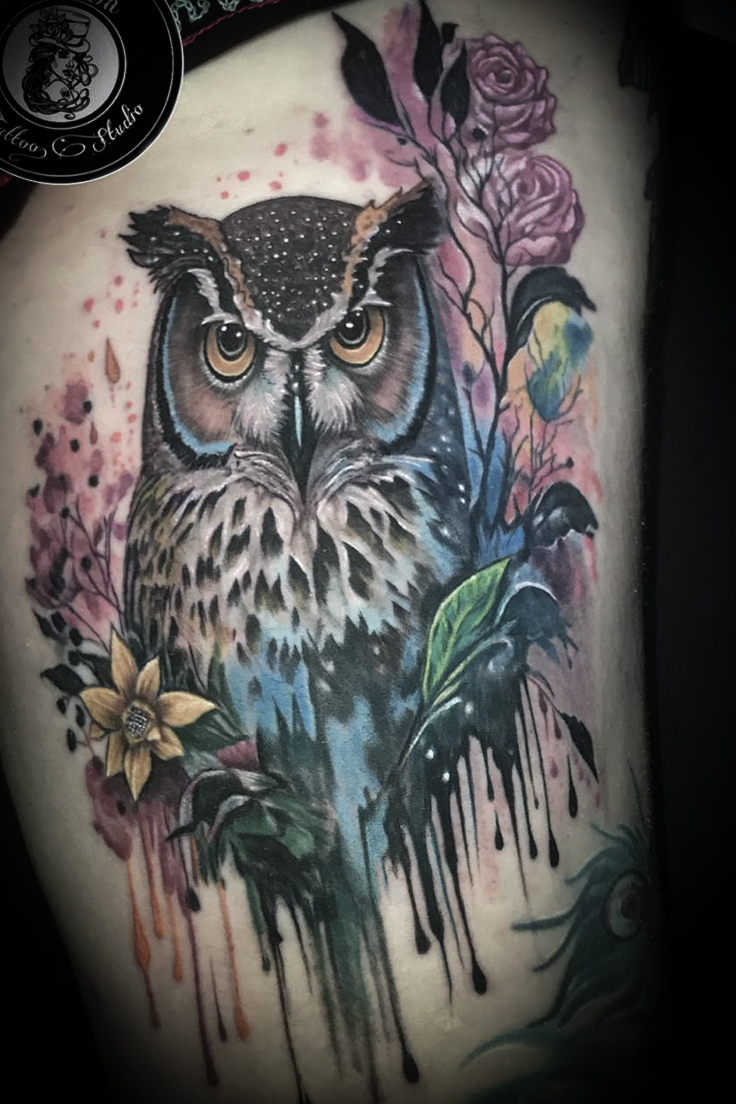 Owl